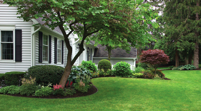 Kako zasaditi dvorišče in travo kot profesionalec