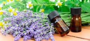 eterično olje sivke